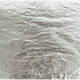 CARNET FEUILLE D'ARGENT