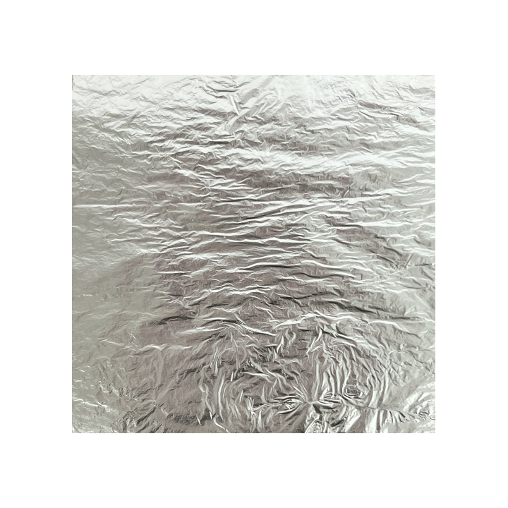CARNET FEUILLE D'ARGENT