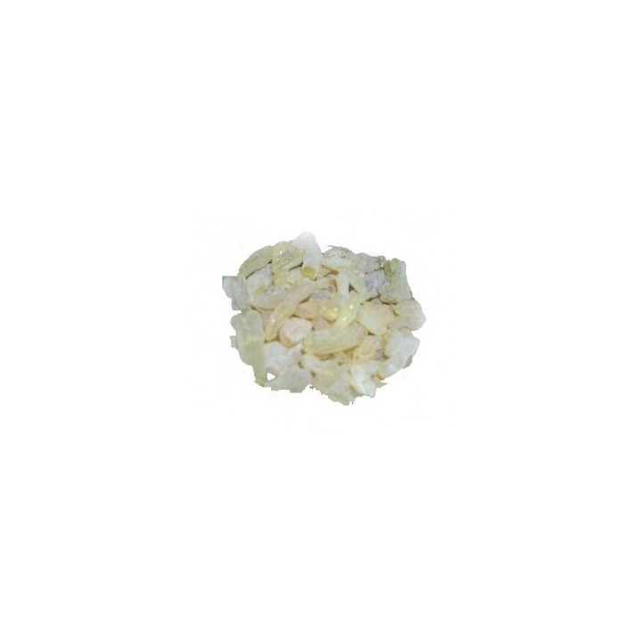 GOMME SANDARAQUE