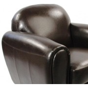 Teinter - Cuir